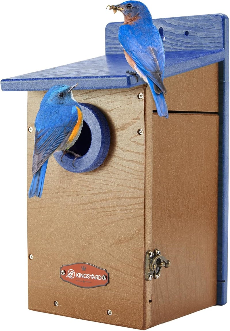 Kingsyard Recycled Plastic Bird House for Outdoor - Durable Nesting Box with Clear View Panel & Predator Guard for Bluebird Wren Swallow Finch, Blue & Brown - Image 1